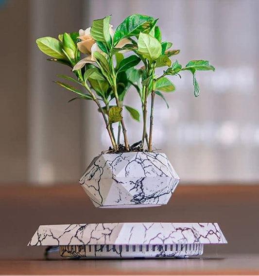 Elegant Levitating Planter for Home Décor TrendyZone