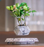 Elegant Levitating Planter for Home Décor TrendyZone